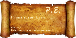 Promintzer Erna névjegykártya
